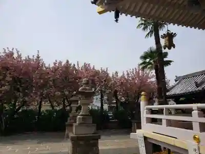 荘厳寺(東京都)