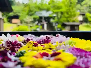 土津神社|こどもと出世の神さまの手水舎(2022年06月16日(木) 11時20分06秒投稿)