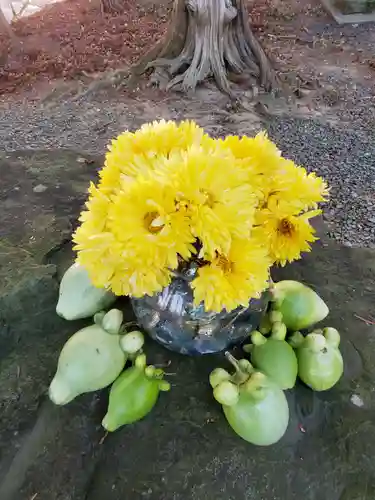阿久津「田村神社」（郡山市阿久津町）旧社名：伊豆箱根三嶋三社(福島県)