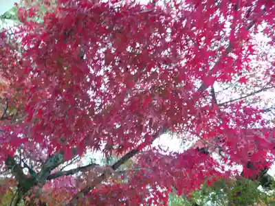 厳島神社(広島県)