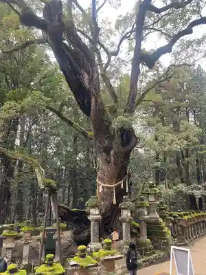 春日大社(奈良県)
