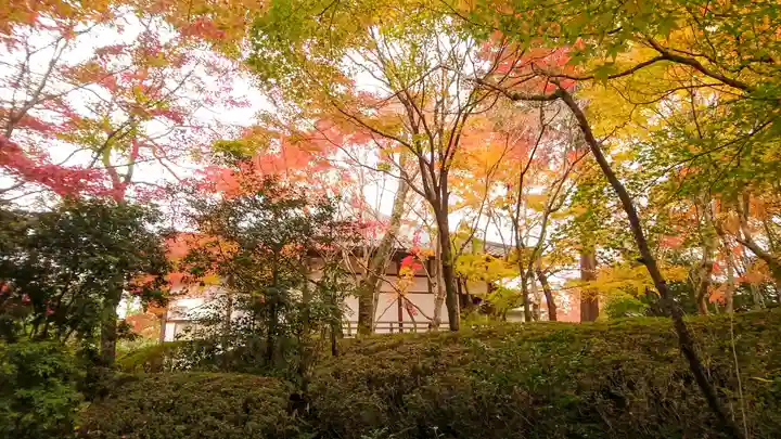 常照寺(京都府)