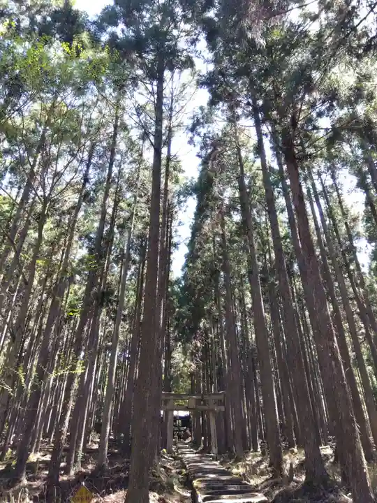 賀茂神社(京都府)