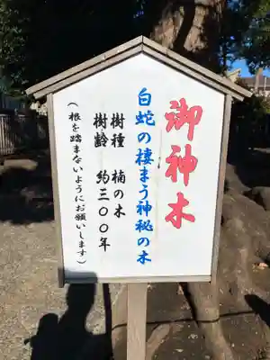 日々神社のその他建物