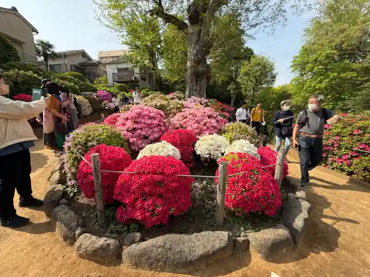 根津神社(東京都)