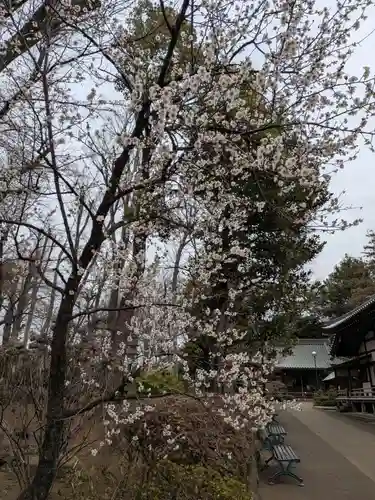 妙法寺(東京都)