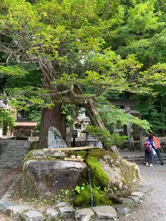 白川八幡神社(岐阜県)