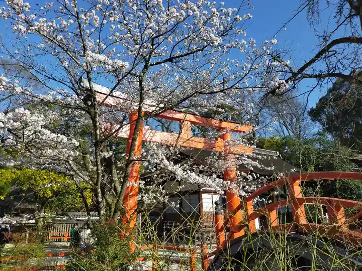 賀茂御祖神社(下鴨神社)(京都府)