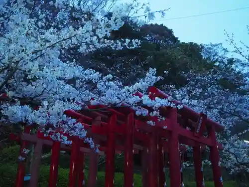 宮地嶽神社の鳥居