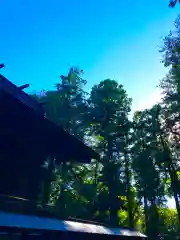 蛟蝄神社奥の宮(茨城県)