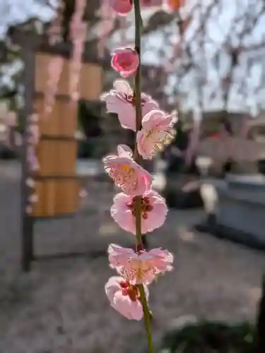 布多天神社(東京都)