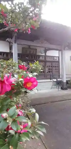 真福寺の本殿・本堂