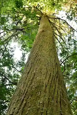 素鵞神社(愛媛県)