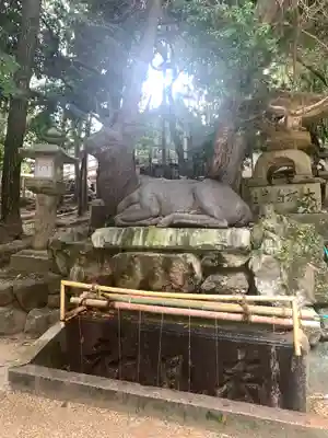 春日大社(奈良県)