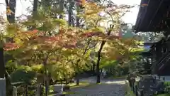 真正極楽寺（真如堂）の庭園