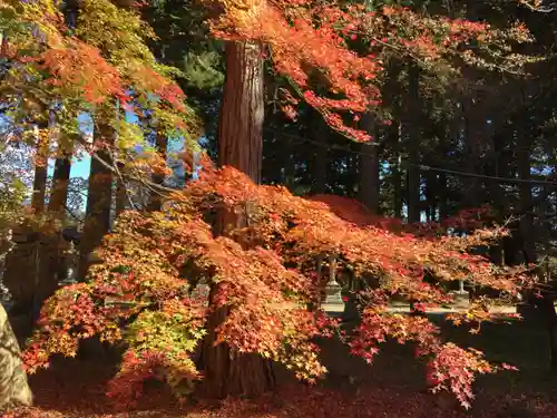 冨士御室浅間神社の自然
