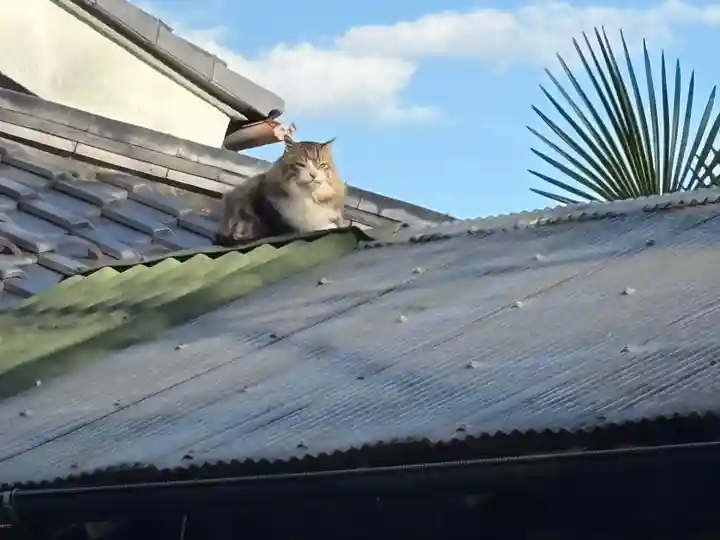 妙義神社(群馬県)