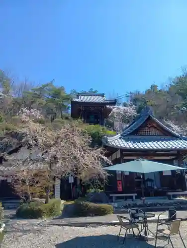 関善光寺の庭園