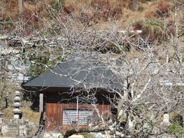 雲慶院のその他建物