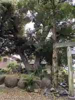 伊多波刀神社(愛知県)