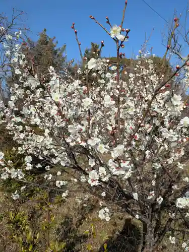 安楽寺(三重県)