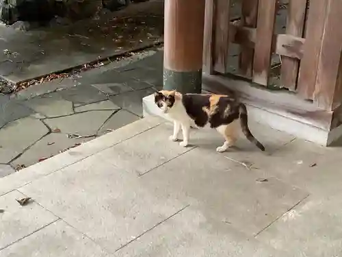 天王坊稲荷神社(岐阜県)