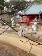 大福寺の自然