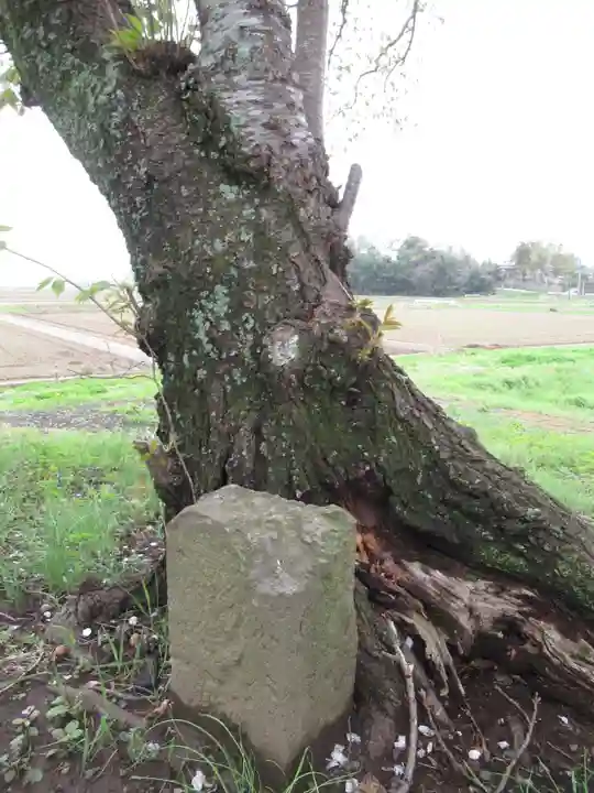 神明神社(千葉県)