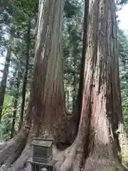 三峯神社(埼玉県)