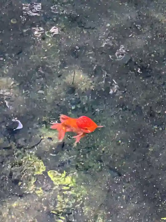 鹿島神宮(茨城県)