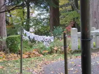 気多若宮神社のおみくじ