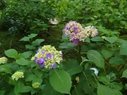 三千院門跡(京都府)