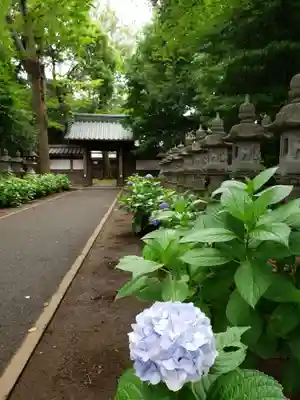 妙法寺のその他建物