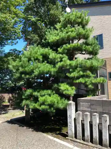 久保市乙剣宮のその他建物