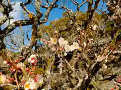 吉備津神社(岡山県)