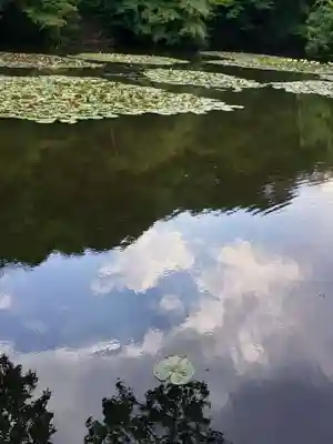 明治神宮(東京都)