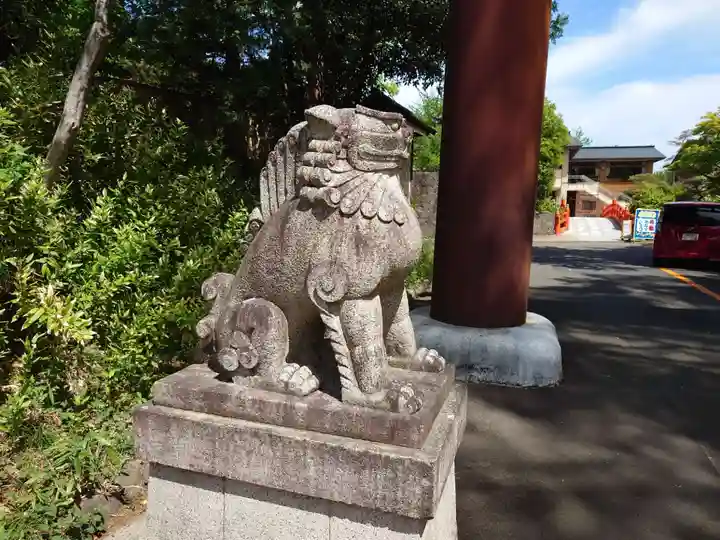 宮城縣護國神社の狛犬