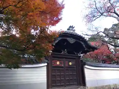 妙顯寺（妙顕寺）(京都府)