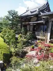 正法寺(京都府)