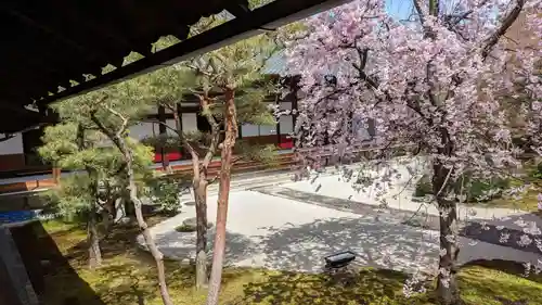 妙顯寺（妙顕寺）の庭園