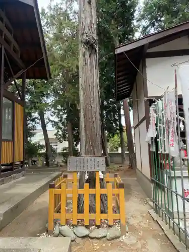 駒形神社(群馬県)