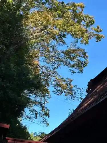 北野神社(福島県)