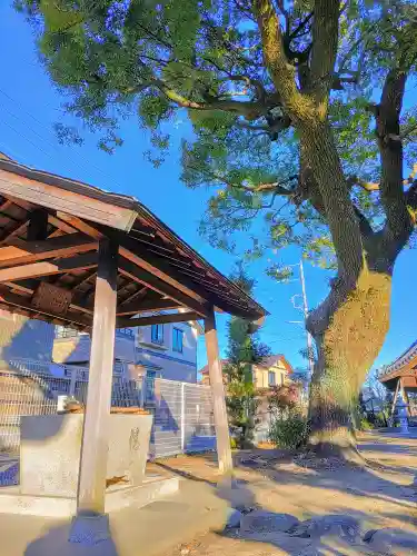 天神社（土田）の手水舎