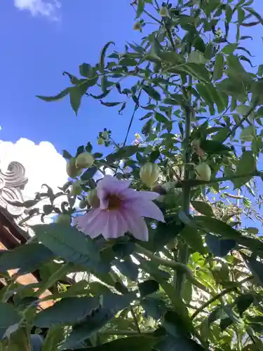 御嶽神社茅萱宮の自然