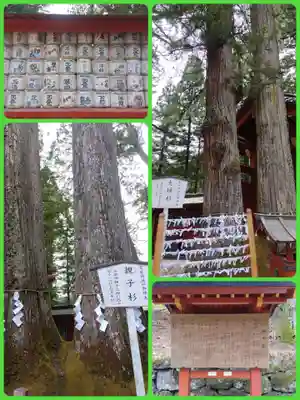 日光二荒山神社(栃木県)