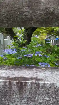 くろ谷 金戒光明寺(京都府)