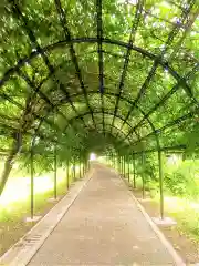 中山熊野神社の建物その他