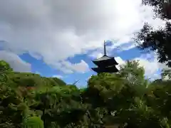 東寺（教王護国寺）の景色