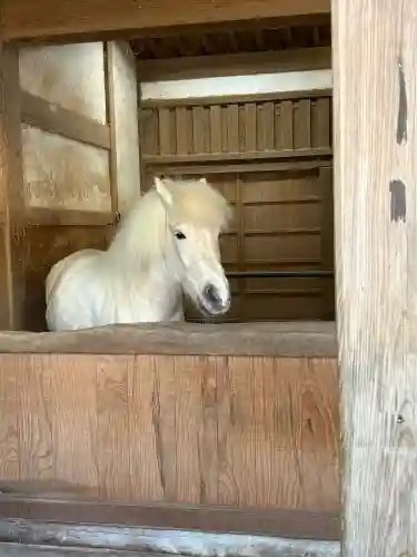 金刀比羅宮の{uncategorized: "未分類", other: "その他", undefined: "問題あり", building: "その他建物", grave: "お墓", sacred_gate: "鳥居", guardian: "狛犬", statue: "像", buddha: "仏像", history: "歴史", nature: "自然", garden: "庭園", animal: "動物", pagoda: "塔", temizu: "手水舎", mountain_gate: "山門・神門", sanctuary: "本殿・本堂", subordinate: "末社・摂社", art: "芸術", scenery: "景色", jizo: "地蔵", ema: "絵馬", goshuin: "御朱印", omikuji: "おみくじ", items: "授与品その他", amulet: "お守り", goshuincho: "御朱印帳", eats: "食事", festival: "お祭り", votive_dance: "神楽", shichigosan: "七五三参", wedding: "結婚式", experience: "体験その他", initially: "初詣", around: "周辺", anti_infection: "感染症対策"}