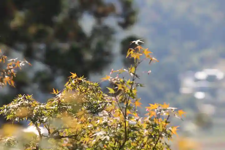 国宝 大法寺(長野県)